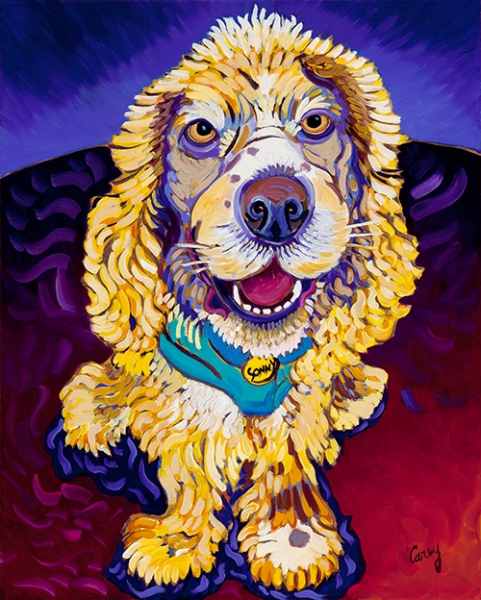 Sonny - The New Beginning by Cathy Carey