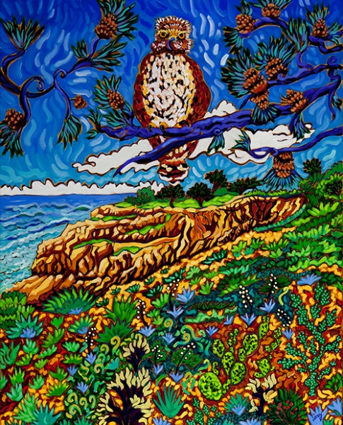 Click here to view Cooper's Hawk - Broken Hill Trail by Cathy Carey