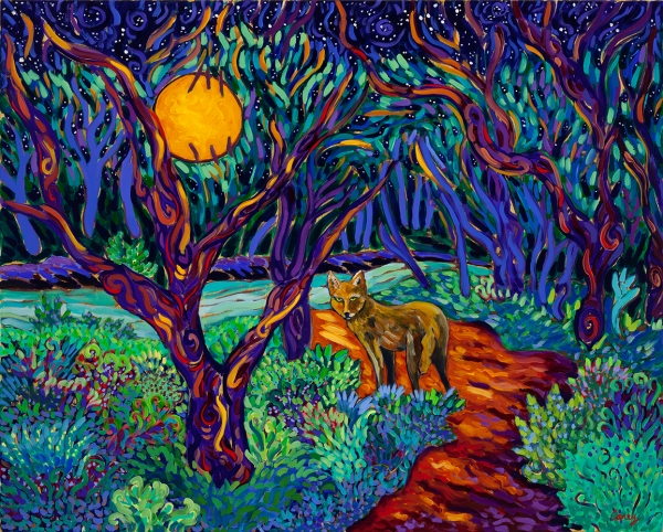 Coyote Night in the Elfin Forest by Cathy Carey