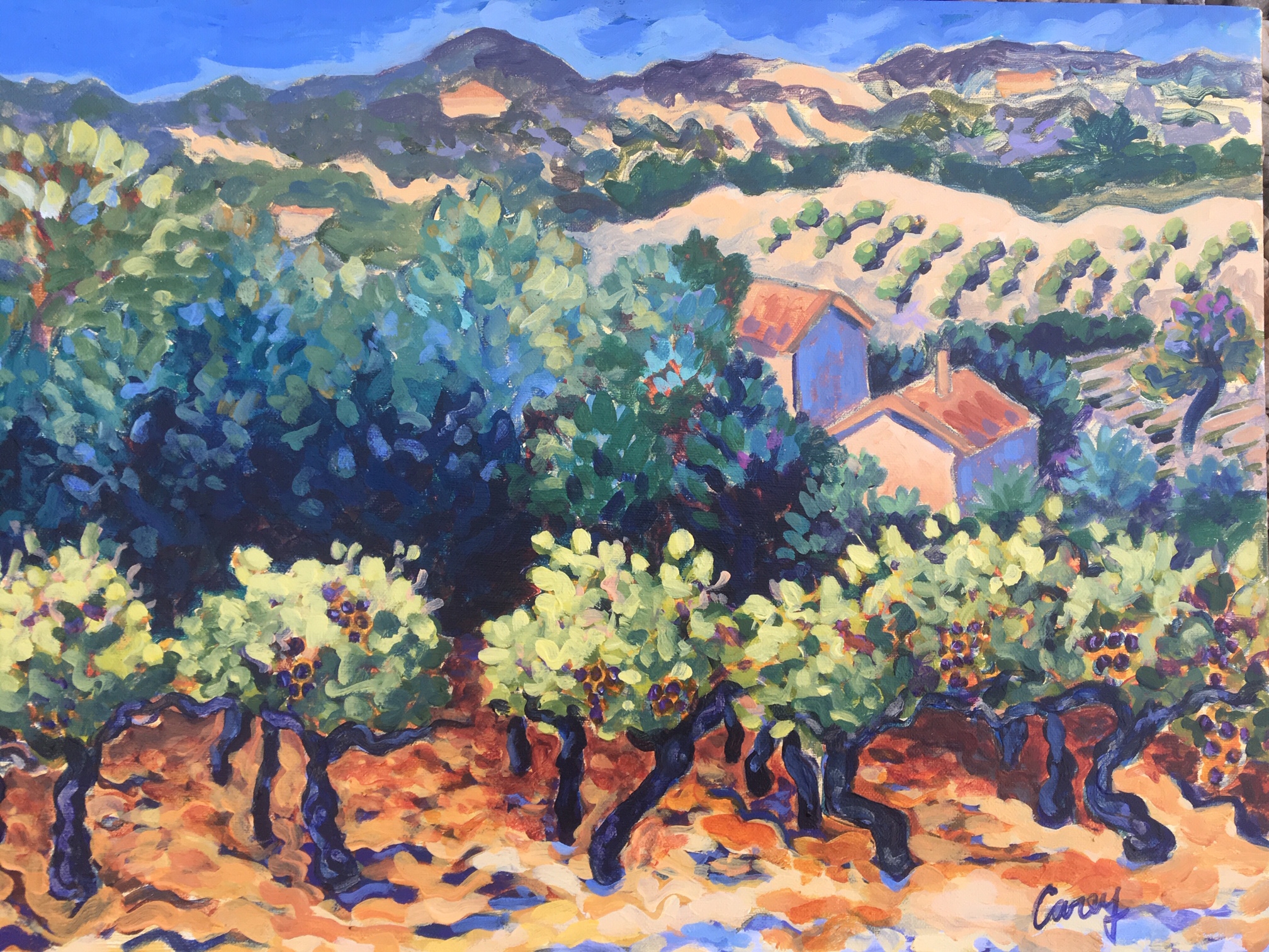 La Madonne Vineyard Provence by Cathy Carey